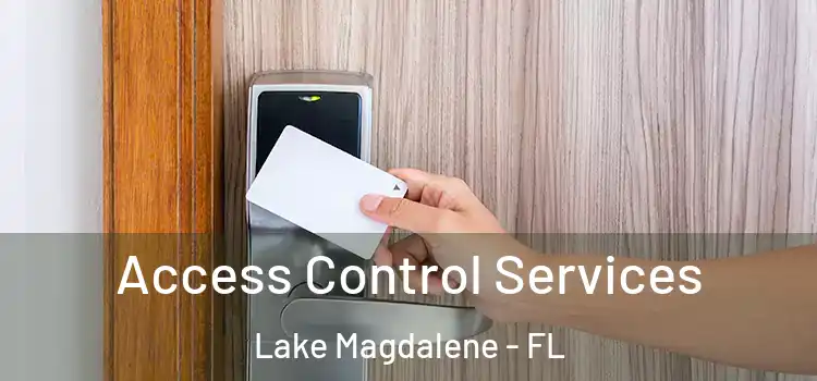 Access Control Services Lake Magdalene - FL