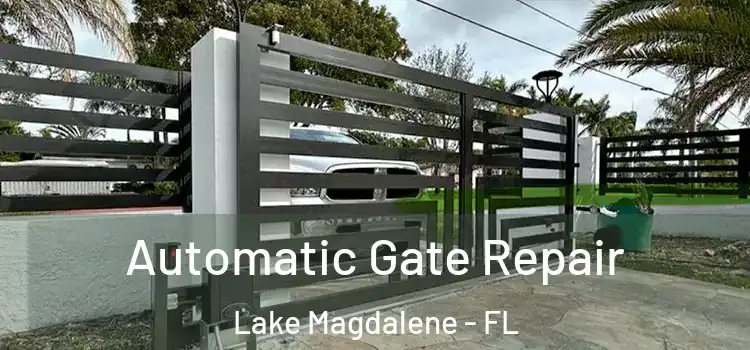 Automatic Gate Repair Lake Magdalene - FL