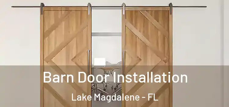 Barn Door Installation Lake Magdalene - FL