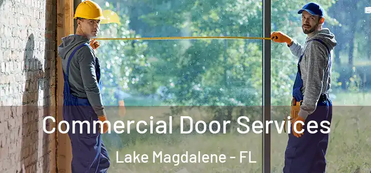 Commercial Door Services Lake Magdalene - FL