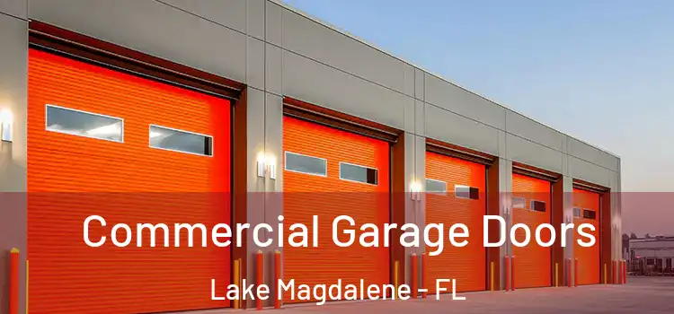  Commercial Garage Doors Lake Magdalene - FL