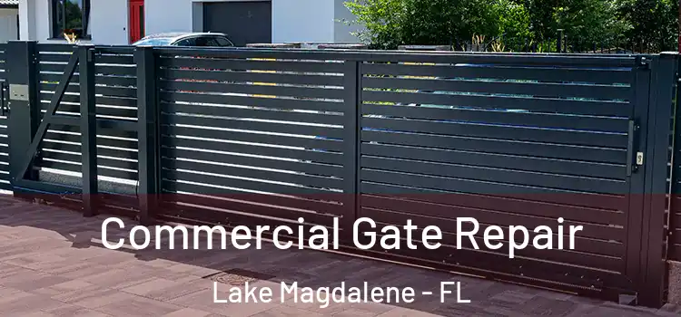 Commercial Gate Repair Lake Magdalene - FL