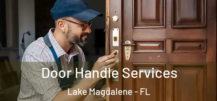 Door Handle Services Lake Magdalene - FL
