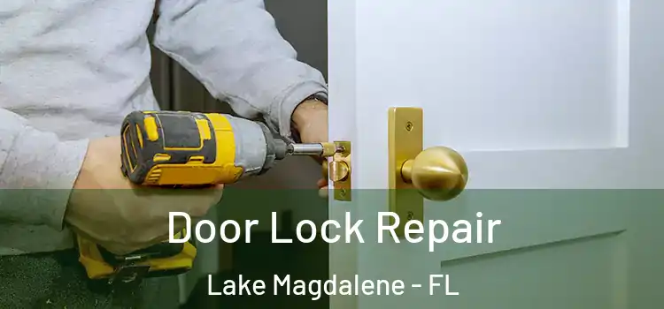 Door Lock Repair Lake Magdalene - FL