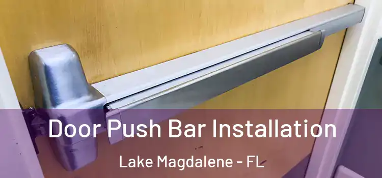 Door Push Bar Installation Lake Magdalene - FL