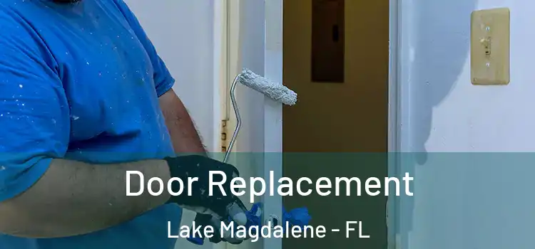  Door Replacement Lake Magdalene - FL