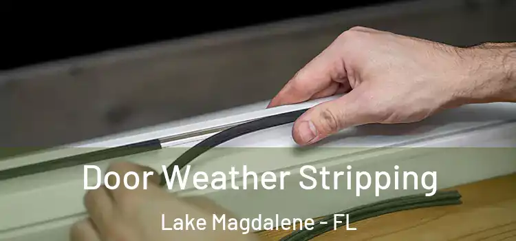 Door Weather Stripping Lake Magdalene - FL