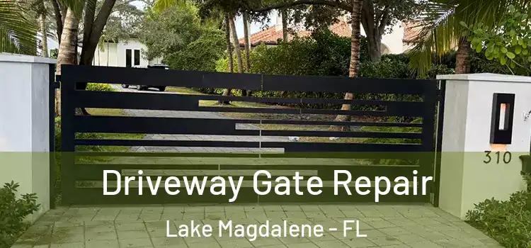 Driveway Gate Repair Lake Magdalene - FL