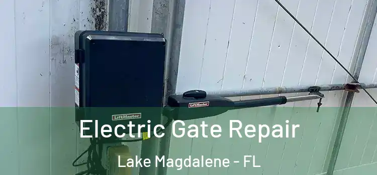Electric Gate Repair Lake Magdalene - FL