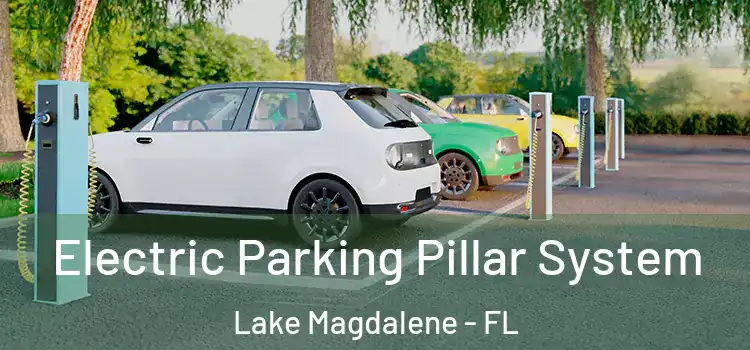  Electric Parking Pillar System Lake Magdalene - FL