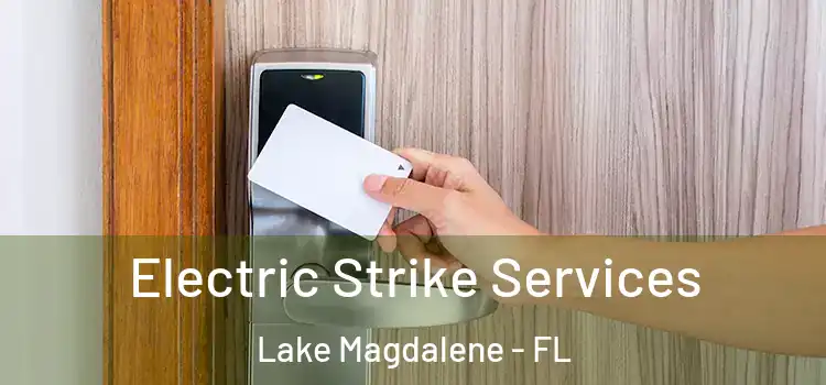 Electric Strike Services Lake Magdalene - FL