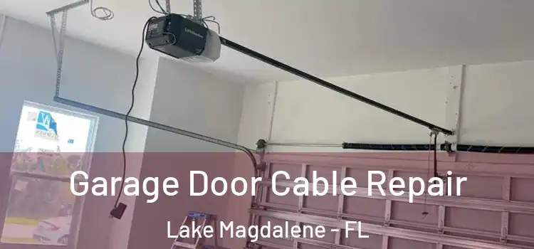  Garage Door Cable Repair Lake Magdalene - FL