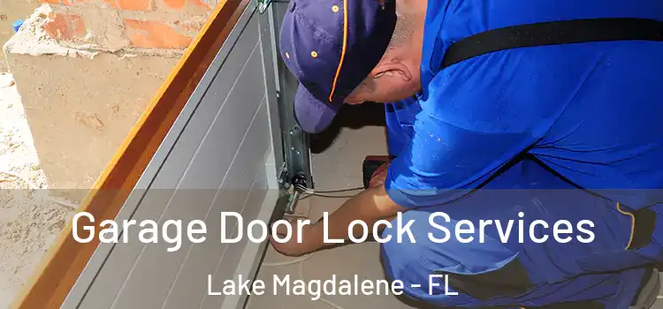 Garage Door Lock Services Lake Magdalene - FL
