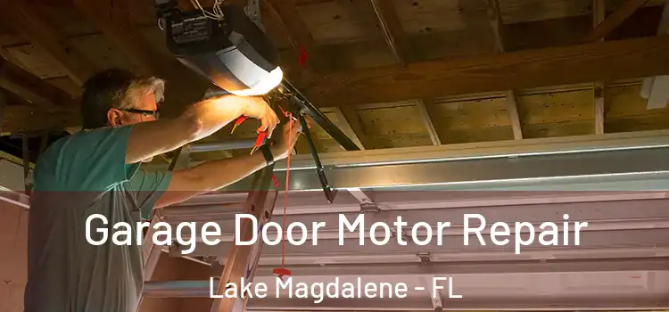  Garage Door Motor Repair Lake Magdalene - FL