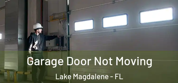  Garage Door Not Moving Lake Magdalene - FL