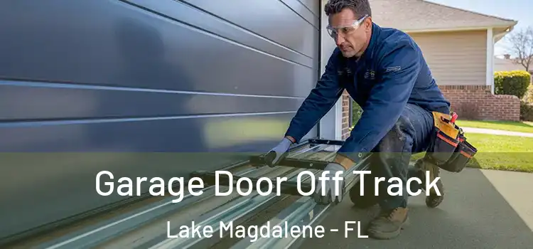 Garage Door Off Track Lake Magdalene - FL