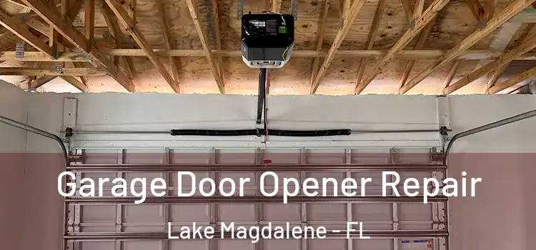  Garage Door Opener Repair Lake Magdalene - FL