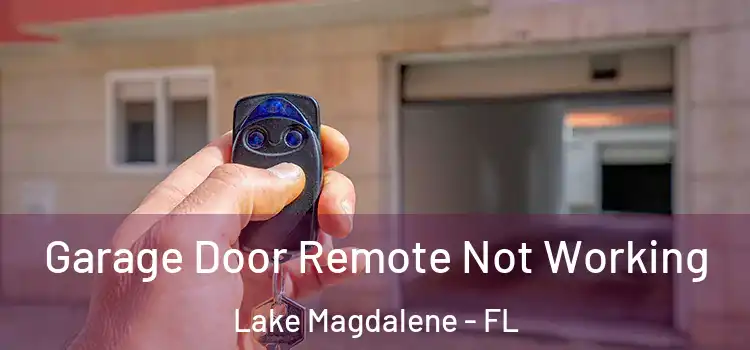  Garage Door Remote Not Working Lake Magdalene - FL