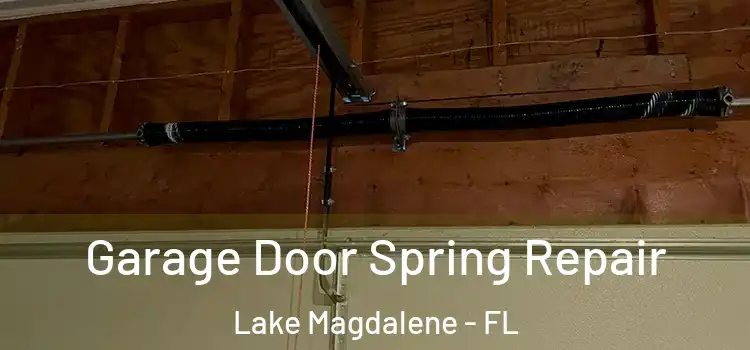  Garage Door Spring Repair Lake Magdalene - FL
