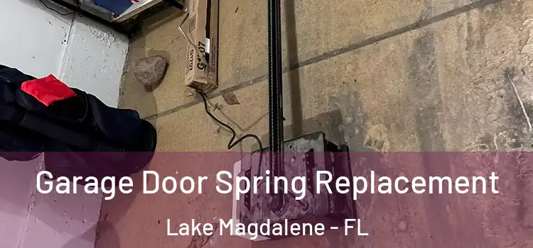  Garage Door Spring Replacement Lake Magdalene - FL