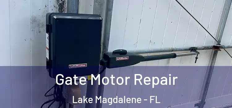 Gate Motor Repair Lake Magdalene - FL