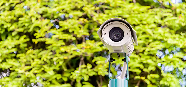 Advanced Surveillance Solutions for Every Need in Lake Magdalene