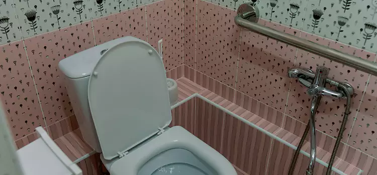 Meeting Diverse Needs With Accessible Restroom Solutions in Lake Magdalene, FL