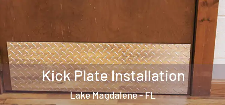 Kick Plate Installation Lake Magdalene - FL