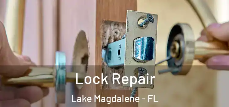 Lock Repair Lake Magdalene - FL
