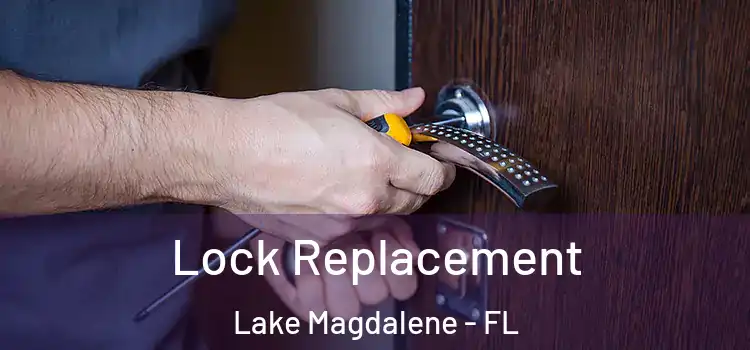 Lock Replacement Lake Magdalene - FL