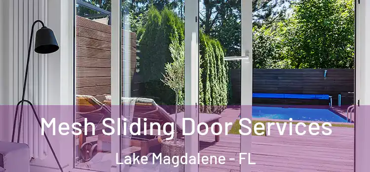 Mesh Sliding Door Services Lake Magdalene - FL