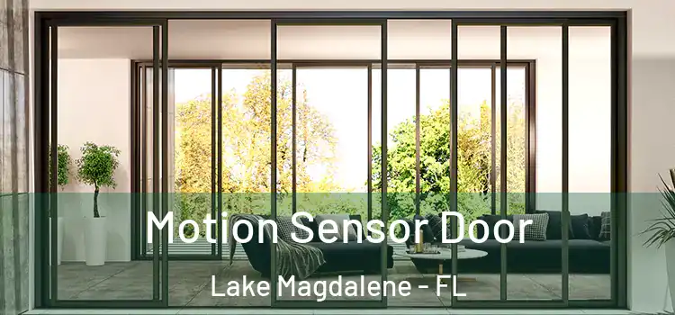 Motion Sensor Door Lake Magdalene - FL