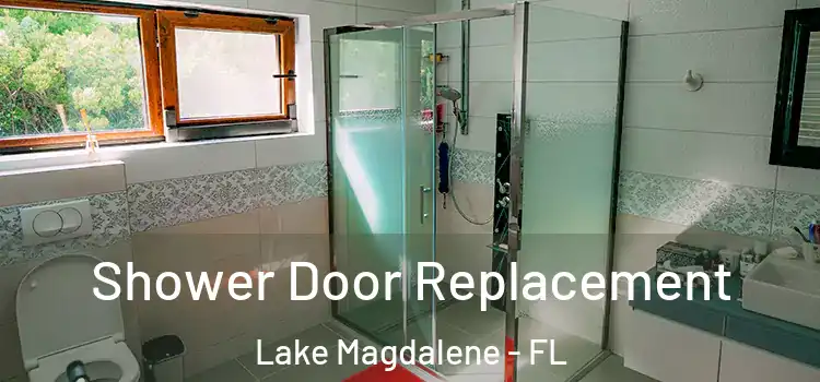 Shower Door Replacement Lake Magdalene - FL