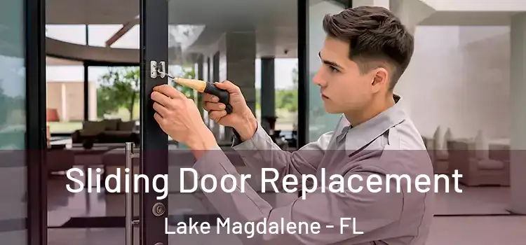 Sliding Door Replacement Lake Magdalene - FL