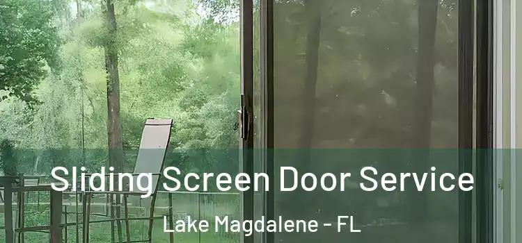 Sliding Screen Door Service Lake Magdalene - FL