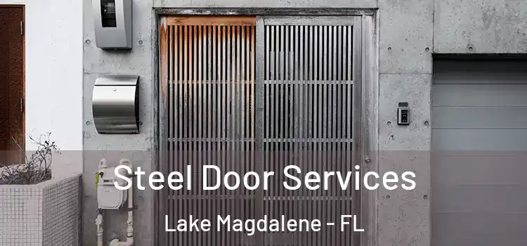 Steel Door Services Lake Magdalene - FL